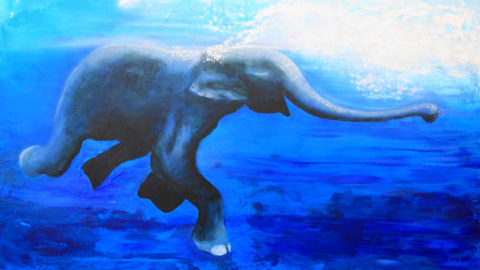 Elefante nadando / Elephant swimming – 2011 – 110×130 cm