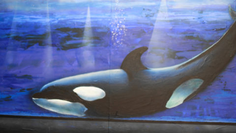 ORCA—KILLER-WHALE,-2012,-Acrylic-on-canvas-(220-cm-X-51cm)